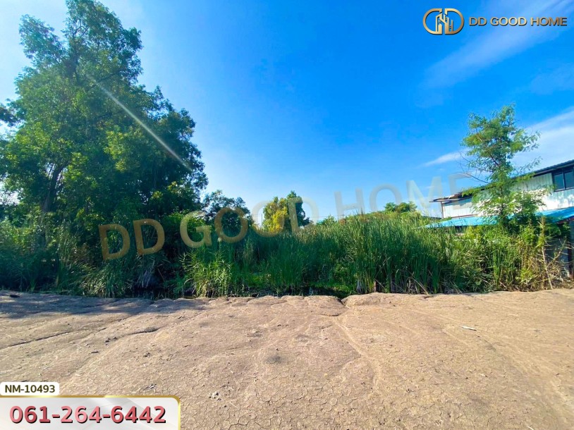 ที่ดิน อ.เมืองปทุมธานี 100 ตร.ว. ซ.ร่วมสุข 4/6 ปทุมธานี-7