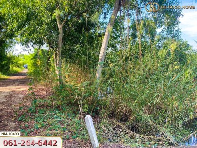 ที่ดิน อ.เมืองปทุมธานี 100 ตร.ว. ซ.ร่วมสุข 4/6 ปทุมธานี-4
