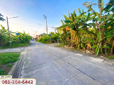 ที่ดิน อ.เมืองปทุมธานี 100 ตร.ว. ซ.ร่วมสุข 4/6 ปทุมธานี-8