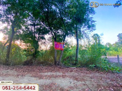 ที่ดิน อ.เมืองปทุมธานี 100 ตร.ว. ซ.ร่วมสุข 4/6 ปทุมธานี-2