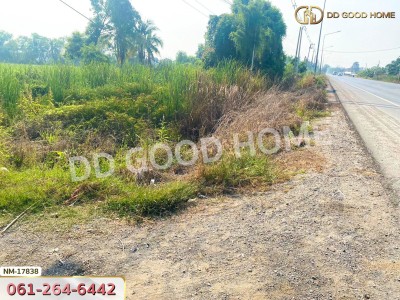 ที่ดิน อ.ลำลูกกา 85 ไร่ 22.1 ตร.ว. ถ.ลำลูกกาคลอง 12 ปทุมธานี