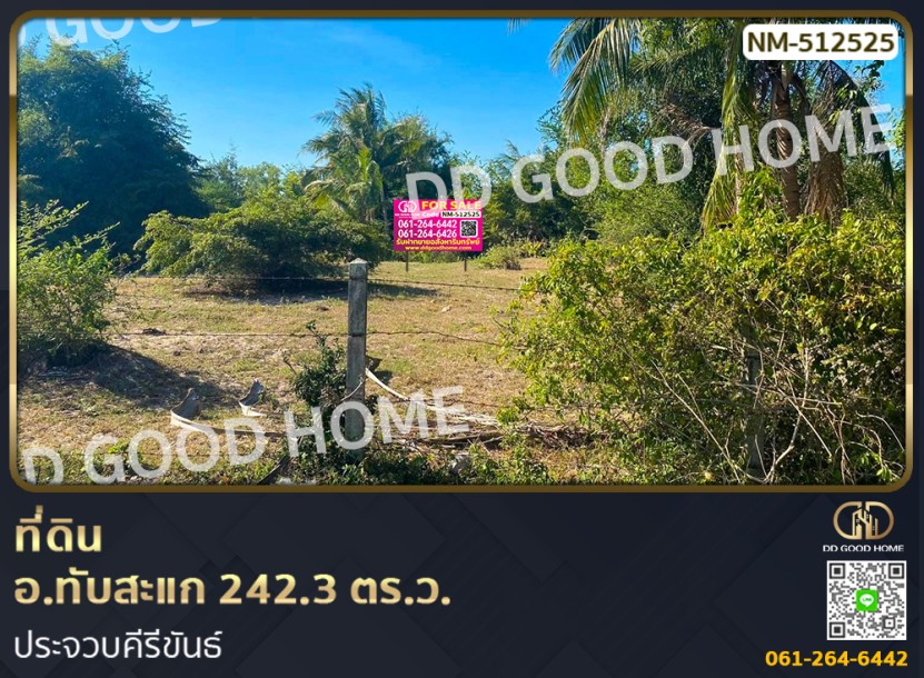 ที่ดิน อ.ทับสะแก 242.3 ตร.ว. ประจวบคีรีขันธ์-1