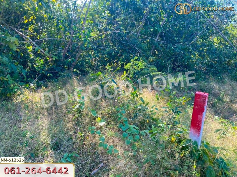 ที่ดิน อ.ทับสะแก 242.3 ตร.ว. ประจวบคีรีขันธ์-4