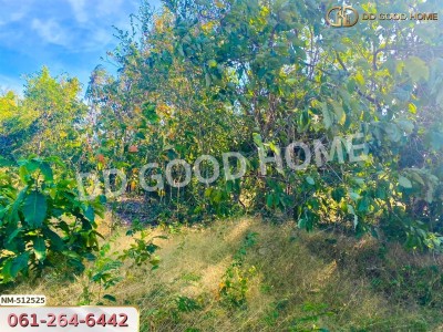 ที่ดิน อ.ทับสะแก 242.3 ตร.ว. ประจวบคีรีขันธ์-2