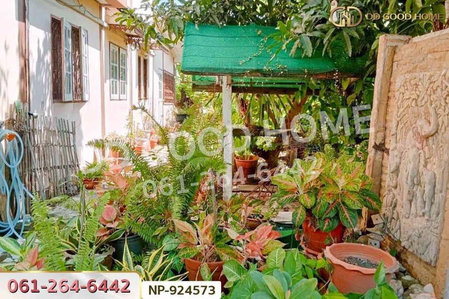 ทาวน์เฮ้าส์ หมู่บ้านศรีสวัสดิ์ ถ.สำเร็จพัฒนา นนทบุรี ใกล้มหาวิทยาลัยมหิดลศาลายา-2