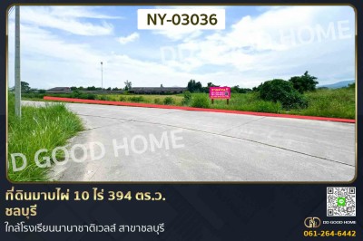 ที่ดินมาบไผ่ 10 ไร่ 394 ตร.ว. ชลบุรี ใกล้โรงเรียนนานาชาติเวลส์ สาขาชลบุรี-1