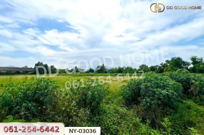 ที่ดินมาบไผ่ 10 ไร่ 394 ตร.ว. ชลบุรี ใกล้โรงเรียนนานาชาติเวลส์ สาขาชลบุรี-5