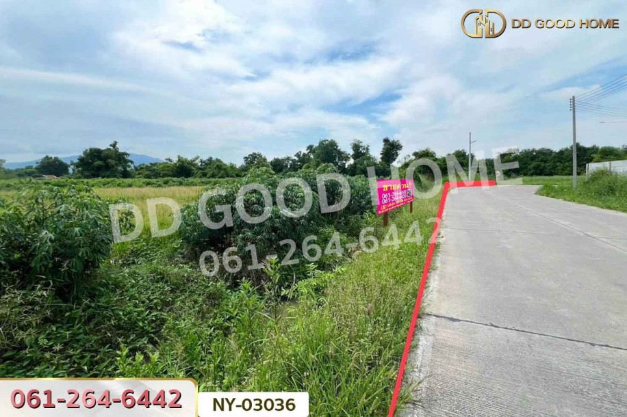 ที่ดินมาบไผ่ 10 ไร่ 394 ตร.ว. ชลบุรี ใกล้โรงเรียนนานาชาติเวลส์ สาขาชลบุรี-4