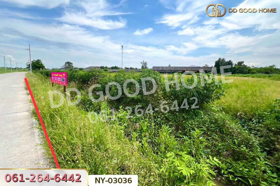 ที่ดินมาบไผ่ 10 ไร่ 394 ตร.ว. ชลบุรี ใกล้โรงเรียนนานาชาติเวลส์ สาขาชลบุรี-3