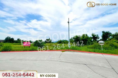 ที่ดินมาบไผ่ 10 ไร่ 394 ตร.ว. ชลบุรี ใกล้โรงเรียนนานาชาติเวลส์ สาขาชลบุรี-2