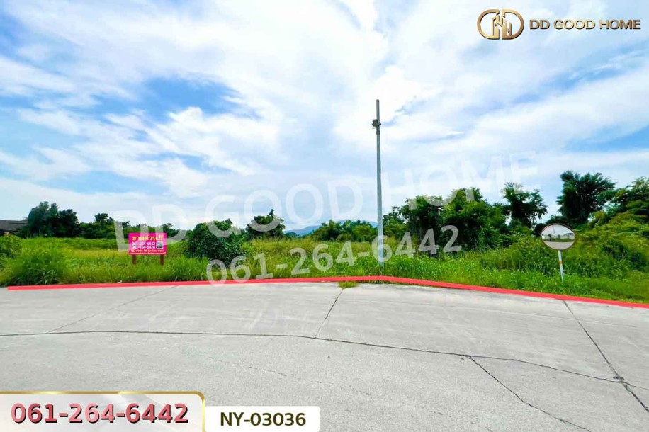 ที่ดินมาบไผ่ 10 ไร่ 394 ตร.ว. ชลบุรี ใกล้โรงเรียนนานาชาติเวลส์ สาขาชลบุรี-2