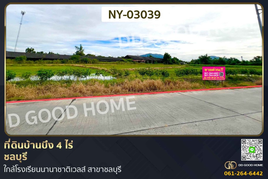 ที่ดินบ้านบึง 4 ไร่ ชลบุรี ใกล้โรงเรียนนานาชาติเวลส์ สาขาชลบุรี-1