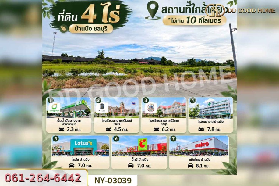 ที่ดินบ้านบึง 4 ไร่ ชลบุรี ใกล้โรงเรียนนานาชาติเวลส์ สาขาชลบุรี-10