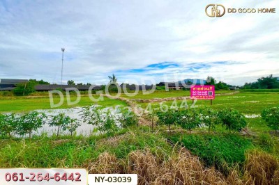 ที่ดินบ้านบึง 4 ไร่ ชลบุรี ใกล้โรงเรียนนานาชาติเวลส์ สาขาชลบุรี-7