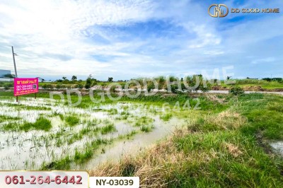 ที่ดินบ้านบึง 4 ไร่ ชลบุรี ใกล้โรงเรียนนานาชาติเวลส์ สาขาชลบุรี-5