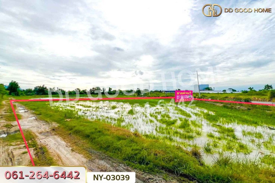 ที่ดินบ้านบึง 4 ไร่ ชลบุรี ใกล้โรงเรียนนานาชาติเวลส์ สาขาชลบุรี-6