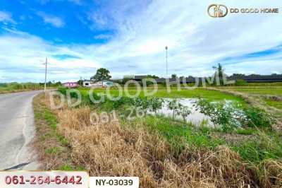 ที่ดินบ้านบึง 4 ไร่ ชลบุรี ใกล้โรงเรียนนานาชาติเวลส์ สาขาชลบุรี-3