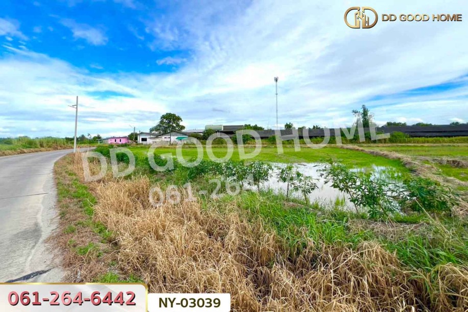 ที่ดินบ้านบึง 4 ไร่ ชลบุรี ใกล้โรงเรียนนานาชาติเวลส์ สาขาชลบุรี-3