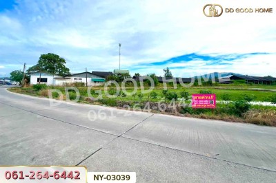 ที่ดินบ้านบึง 4 ไร่ ชลบุรี ใกล้โรงเรียนนานาชาติเวลส์ สาขาชลบุรี-2