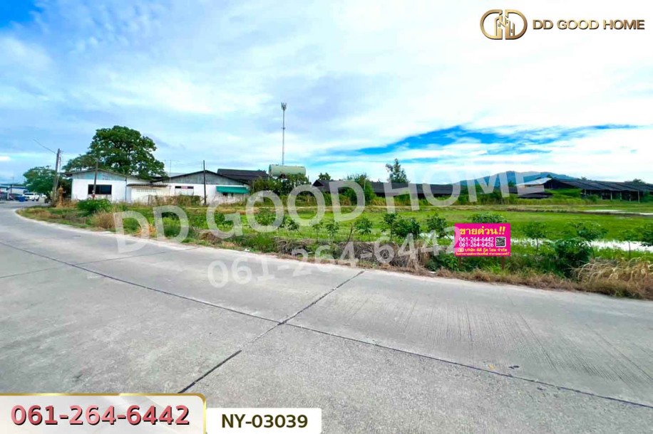 ที่ดินบ้านบึง 4 ไร่ ชลบุรี ใกล้โรงเรียนนานาชาติเวลส์ สาขาชลบุรี-2