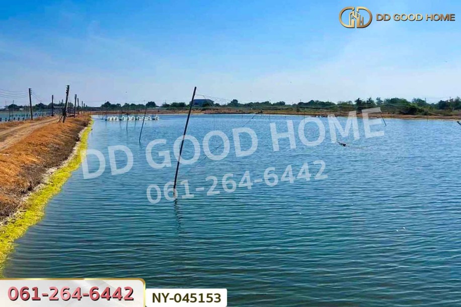 ที่ดินบางปะกง 9 ไร่ 287 ตร.ว. ฉะเชิงเทรา ใกล้โรงเรียนแสมขาววิทยาคาร-7