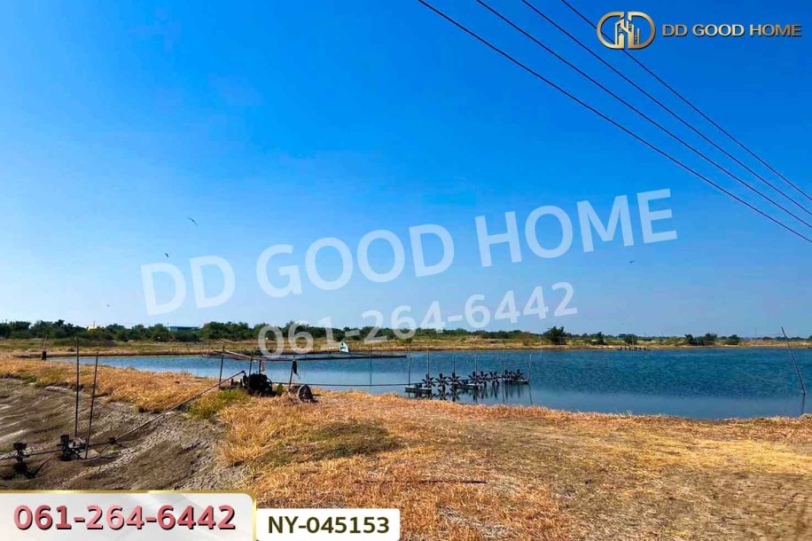 ที่ดินบางปะกง 9 ไร่ 287 ตร.ว. ฉะเชิงเทรา ใกล้โรงเรียนแสมขาววิทยาคาร-6