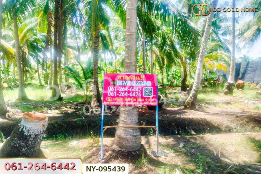 ที่ดินดำเนินสะดวก 1 ไร่ 252.6 ตร.ว. ราชบุรี ใกล้ตลาดน้ำดำเนินสะดวก-2