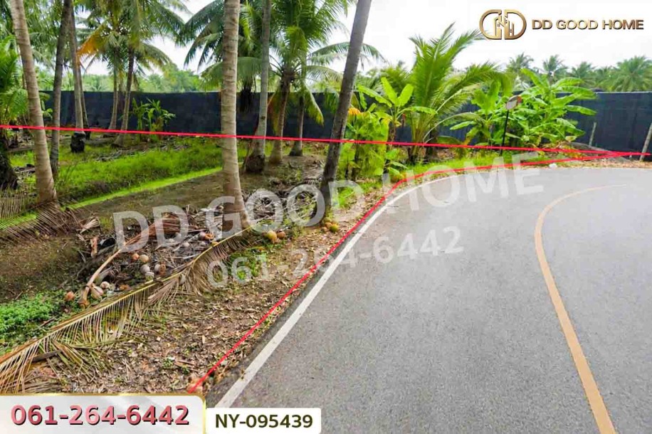 ที่ดินดำเนินสะดวก 1 ไร่ 252.6 ตร.ว. ราชบุรี ใกล้ตลาดน้ำดำเนินสะดวก-5