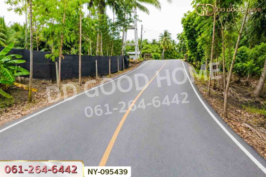 ที่ดินดำเนินสะดวก 1 ไร่ 252.6 ตร.ว. ราชบุรี ใกล้ตลาดน้ำดำเนินสะดวก-4