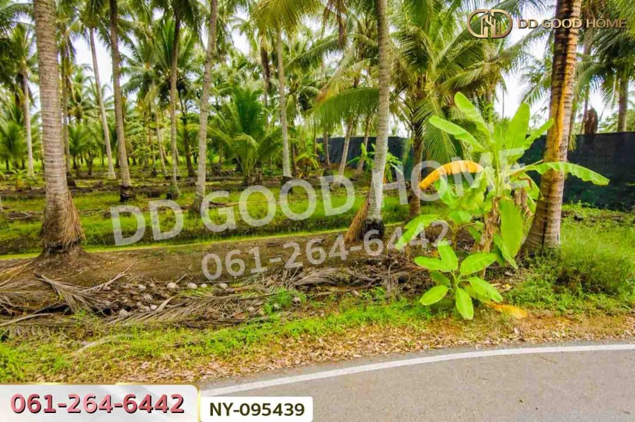 ที่ดินดำเนินสะดวก 1 ไร่ 252.6 ตร.ว. ราชบุรี ใกล้ตลาดน้ำดำเนินสะดวก-3