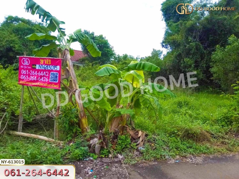 ที่ดิน อ.เมืองสระแก้ว 98 ตร.ว. สระแก้ว-5