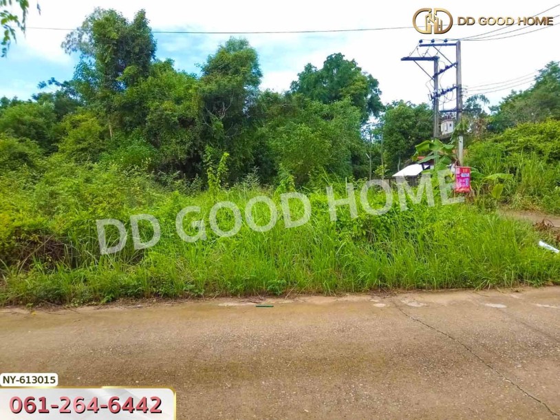 ที่ดิน อ.เมืองสระแก้ว 98 ตร.ว. สระแก้ว-2