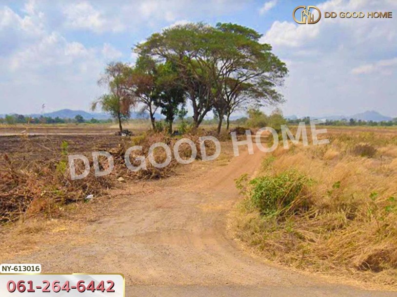 ที่ดิน บึงสามพัน 100 ตร.ว. เพชรบูรณ์-2