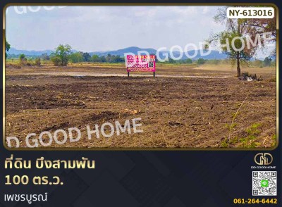 ที่ดิน บึงสามพัน 100 ตร.ว. เพชรบูรณ์-1