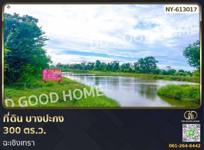 ที่ดิน บางปะกง 300 ตร.ว. ฉะเชิงเทรา-1