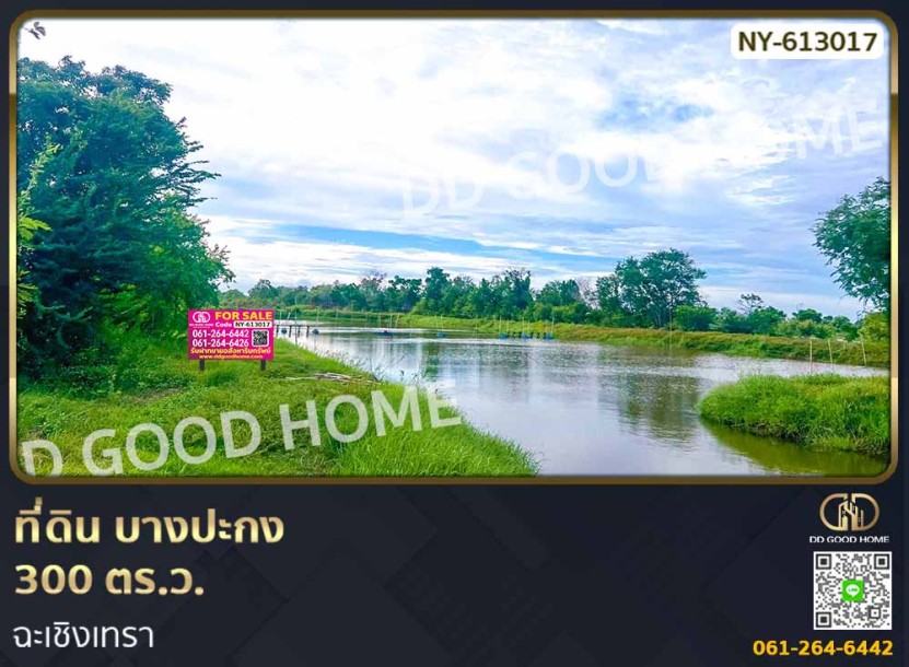ที่ดิน บางปะกง 300 ตร.ว. ฉะเชิงเทรา-1