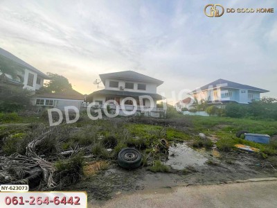ที่ดิน ซ.สินงอกงาม อ.บางปะกง 98 ตร.ว. ฉะเชิงเทรา-2