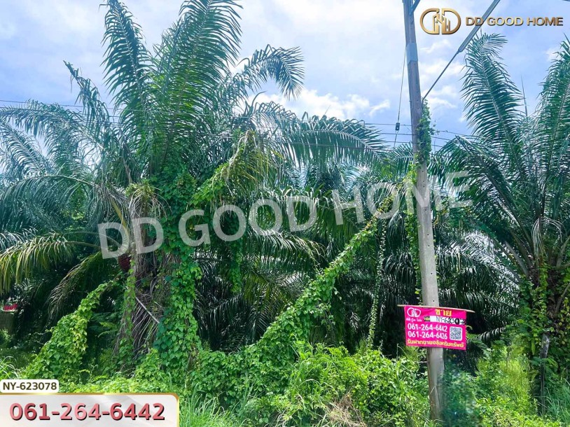 ❌SOLD OUT❌ที่ดิน บ้านบึง 1 ไร่ 352 ตร.ว. ชลบุรี ใกล้วิทยาลัยเทคนิคชลบุรี-4