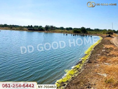 ที่ดินปางปะกง 9 ไร่ 287 ตร.ว. ฉะเชิงเทรา ใกล้โรงเรียนแสมขาววิทยาคาร