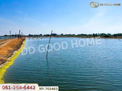 ที่ดินปางปะกง 9 ไร่ 287 ตร.ว. ฉะเชิงเทรา ใกล้โรงเรียนแสมขาววิทยาคาร