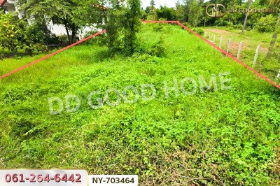 ที่ดินพรหมพิราม 349 ตร.ว. พิษณุโลก ใกล้วัดบ้านซ่อง-5