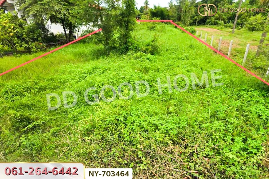 ที่ดินพรหมพิราม 349 ตร.ว. พิษณุโลก ใกล้วัดบ้านซ่อง-5
