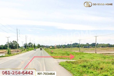 ที่ดินพรหมพิราม 349 ตร.ว. พิษณุโลก ใกล้วัดบ้านซ่อง-4