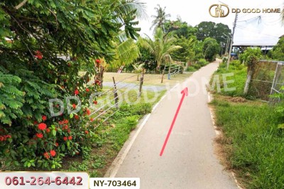 ที่ดินพรหมพิราม 349 ตร.ว. พิษณุโลก ใกล้วัดบ้านซ่อง-3
