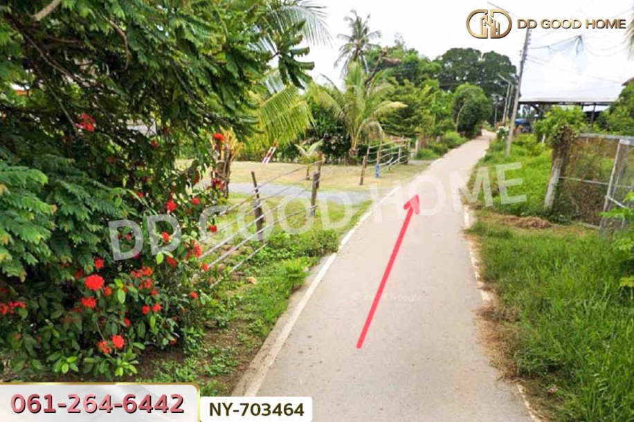 ที่ดินพรหมพิราม 349 ตร.ว. พิษณุโลก ใกล้วัดบ้านซ่อง-3