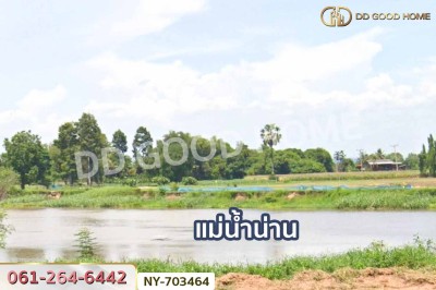 ที่ดินพรหมพิราม 349 ตร.ว. พิษณุโลก ใกล้วัดบ้านซ่อง-8