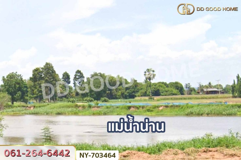 ที่ดินพรหมพิราม 349 ตร.ว. พิษณุโลก ใกล้วัดบ้านซ่อง-8