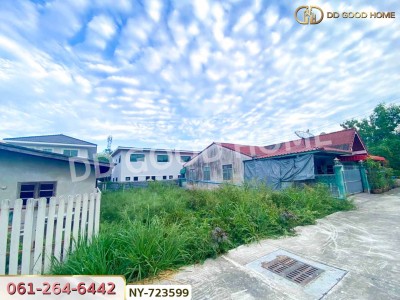 ที่ดินเมืองชลบุรี 50 ตร.ว. ใกล้ตลาดนินจา อมตะ-6