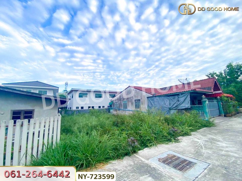 ที่ดินเมืองชลบุรี 50 ตร.ว. ใกล้ตลาดนินจา อมตะ-6