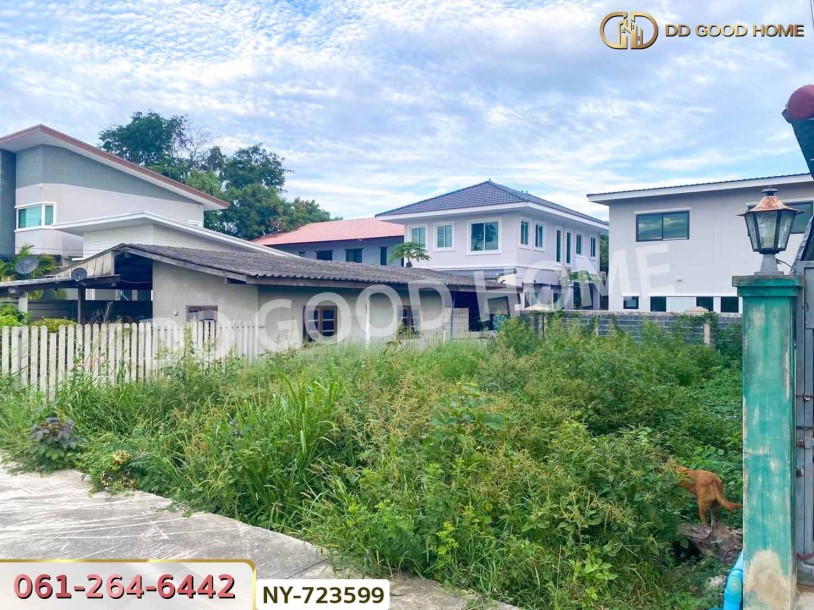 ที่ดินเมืองชลบุรี 50 ตร.ว. ใกล้ตลาดนินจา อมตะ-5